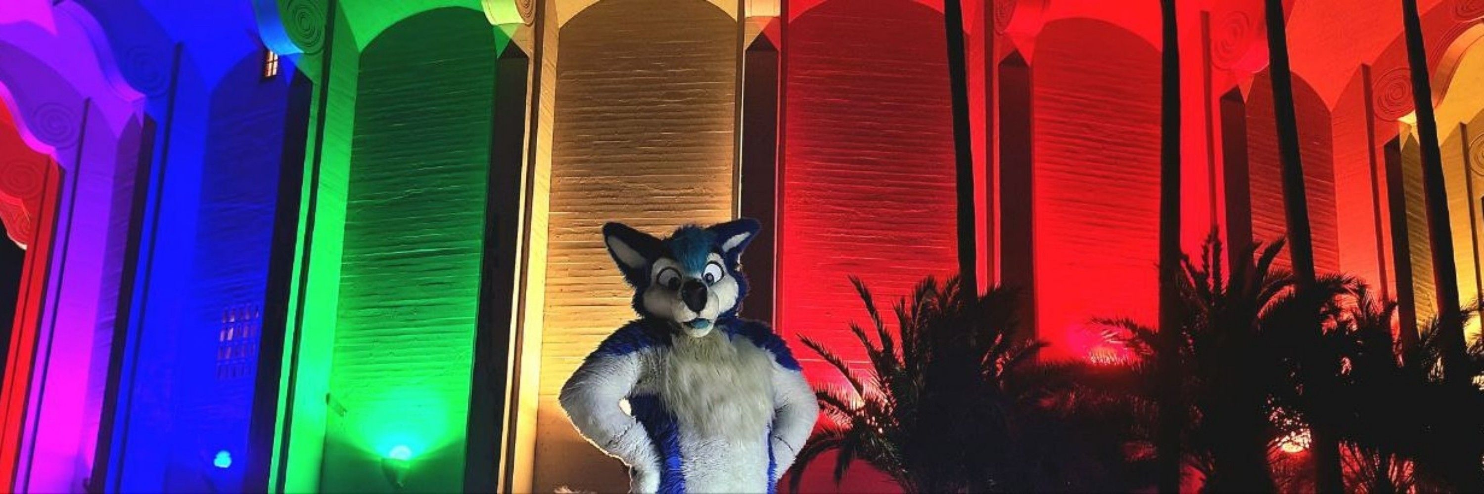 Tye Husky