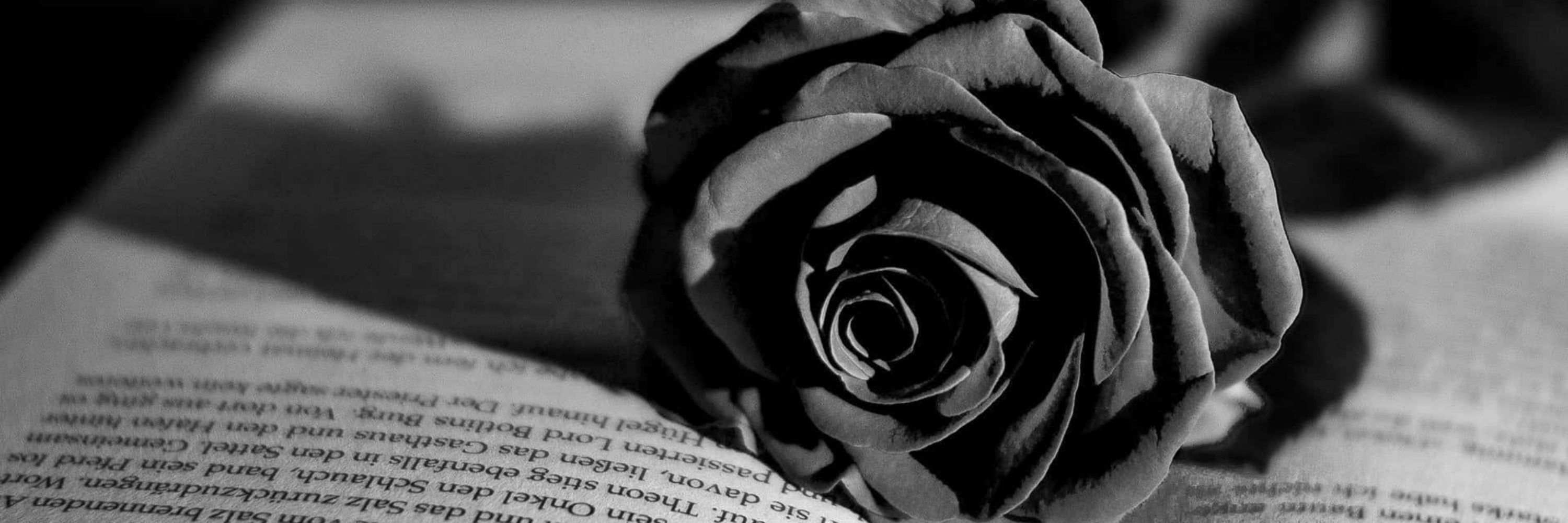 Kealyn_Reads_LP