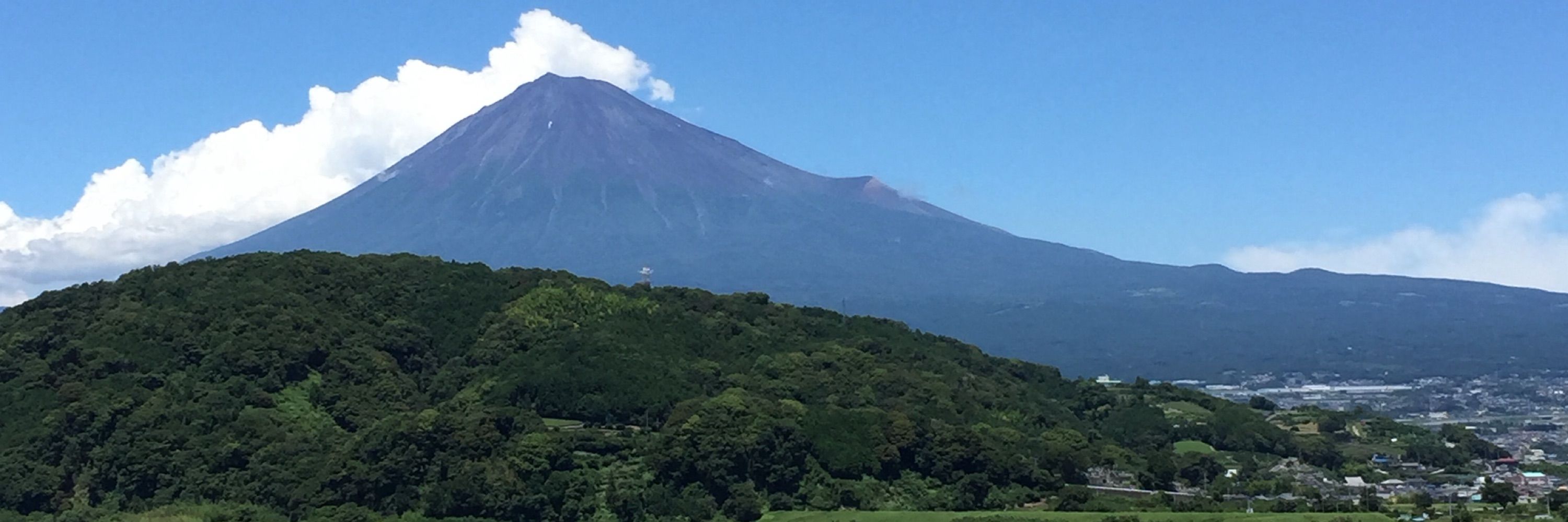 掠風竊塵