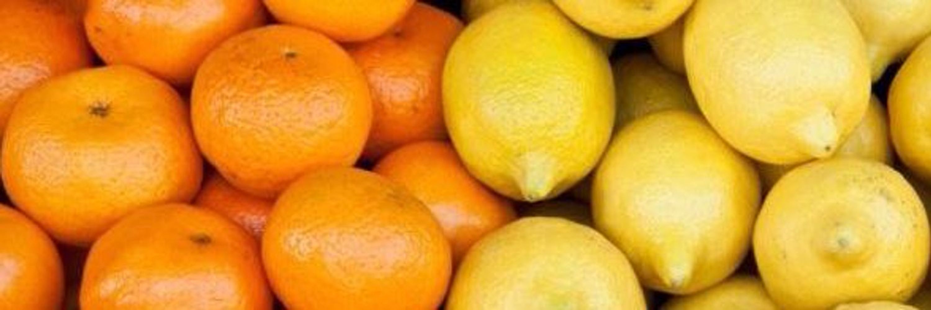 OrangeLemonArt