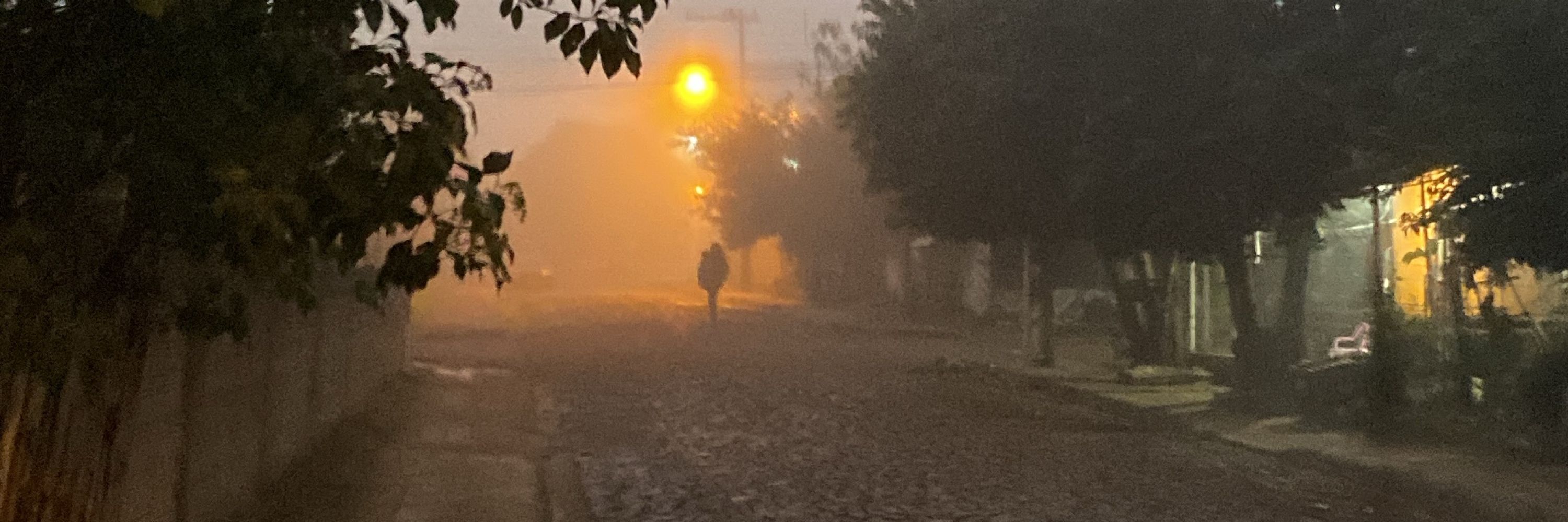 Sinceramente jeni 2.0 