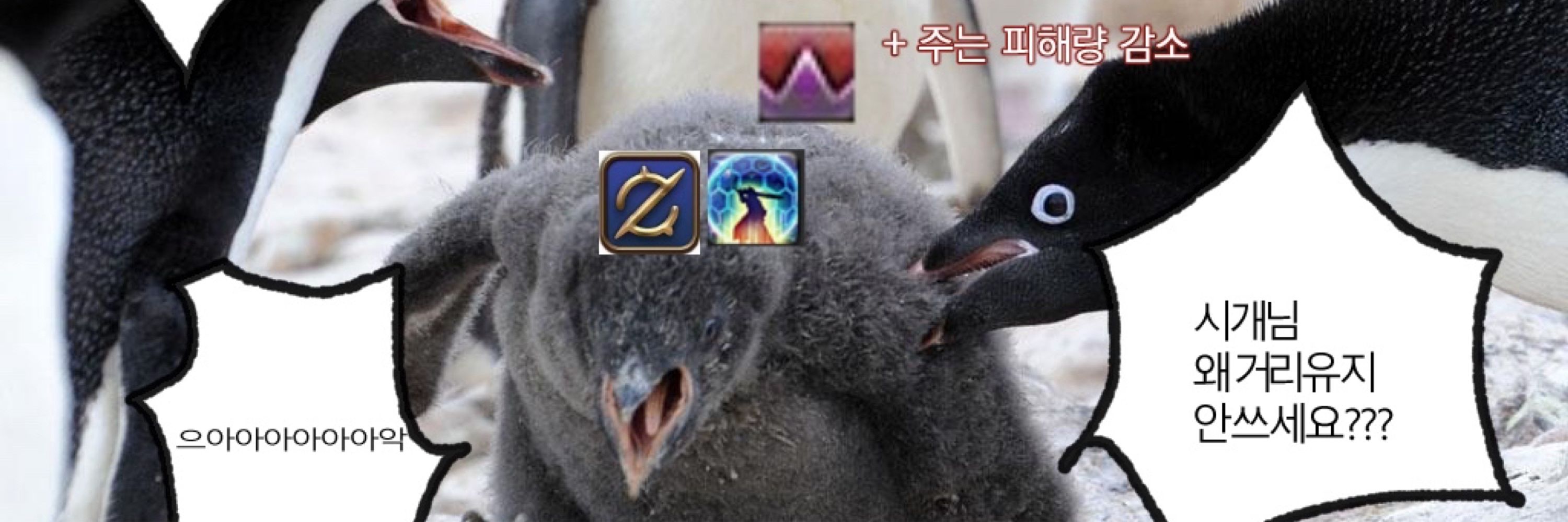 김시개