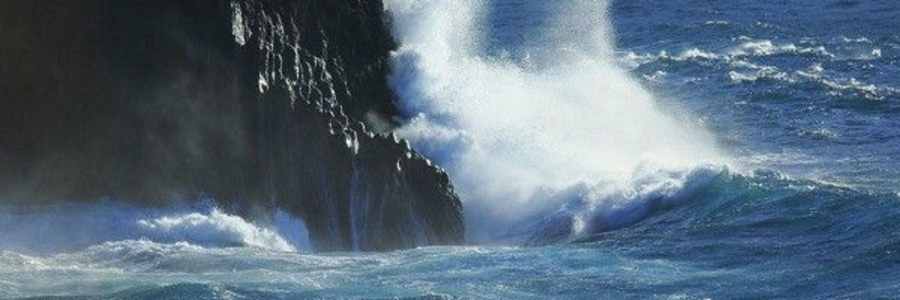 ˖°🌊⋆₊maaxx⚢° ᡣ .° .🫧