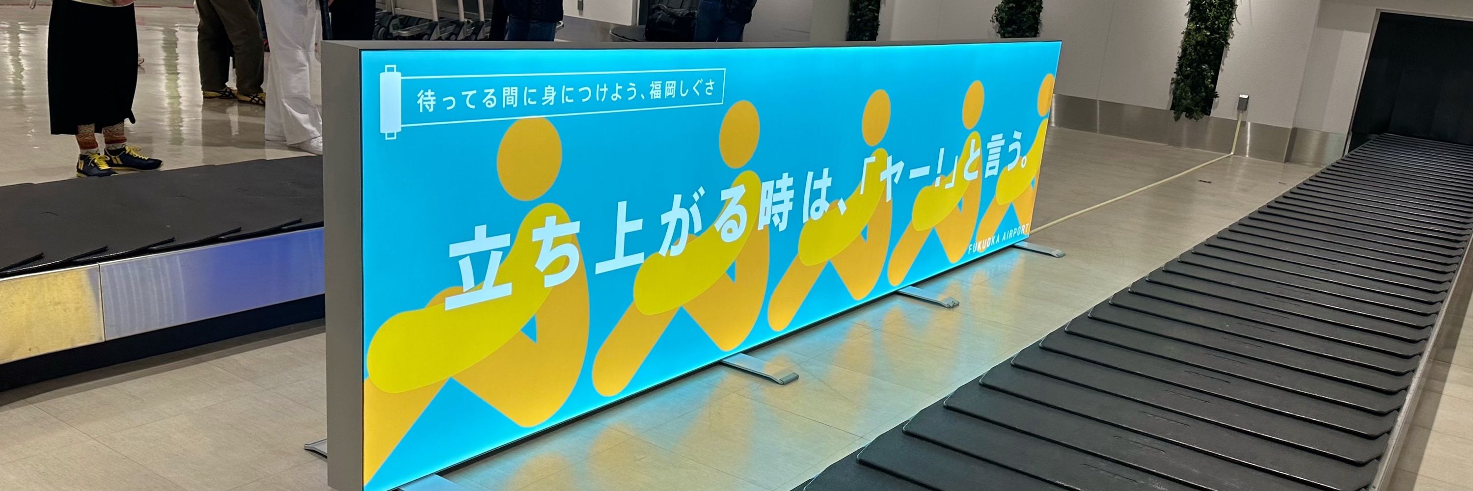 どんぞ