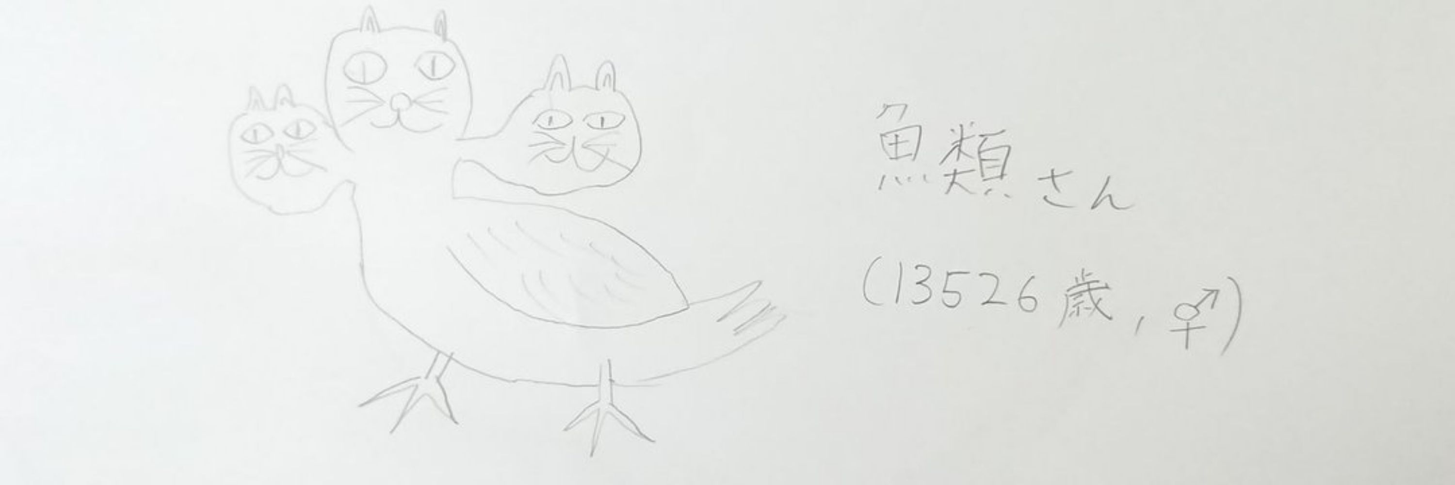 魚類さん