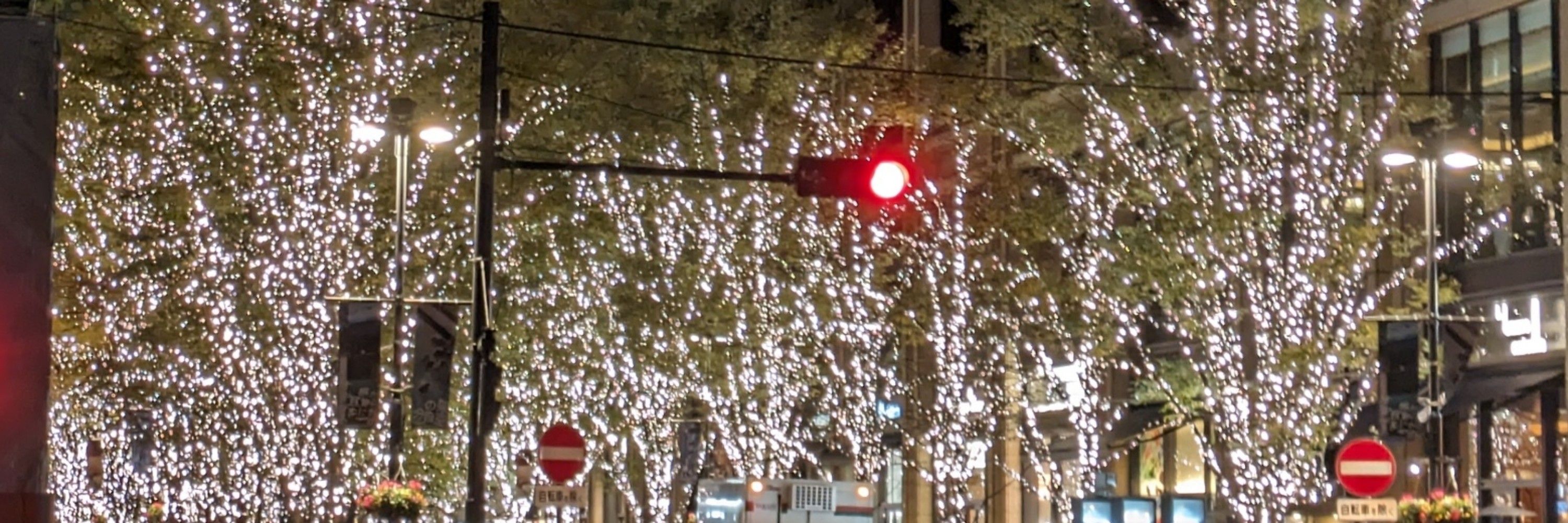 るーず