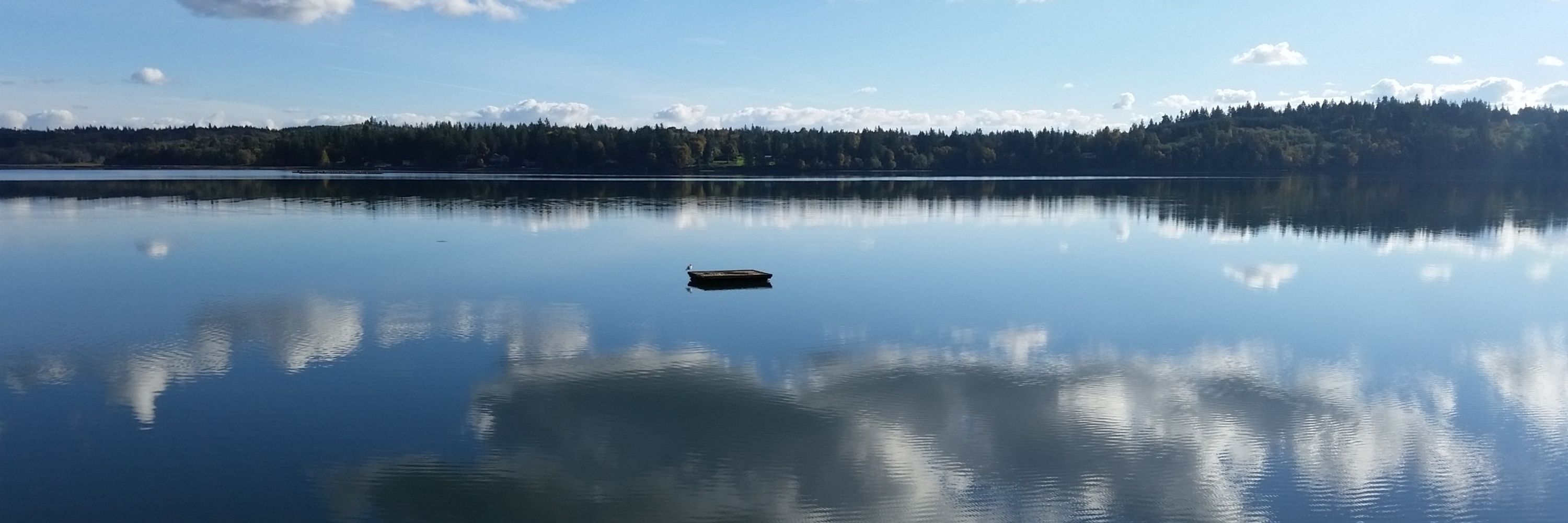 Kat in the PNW