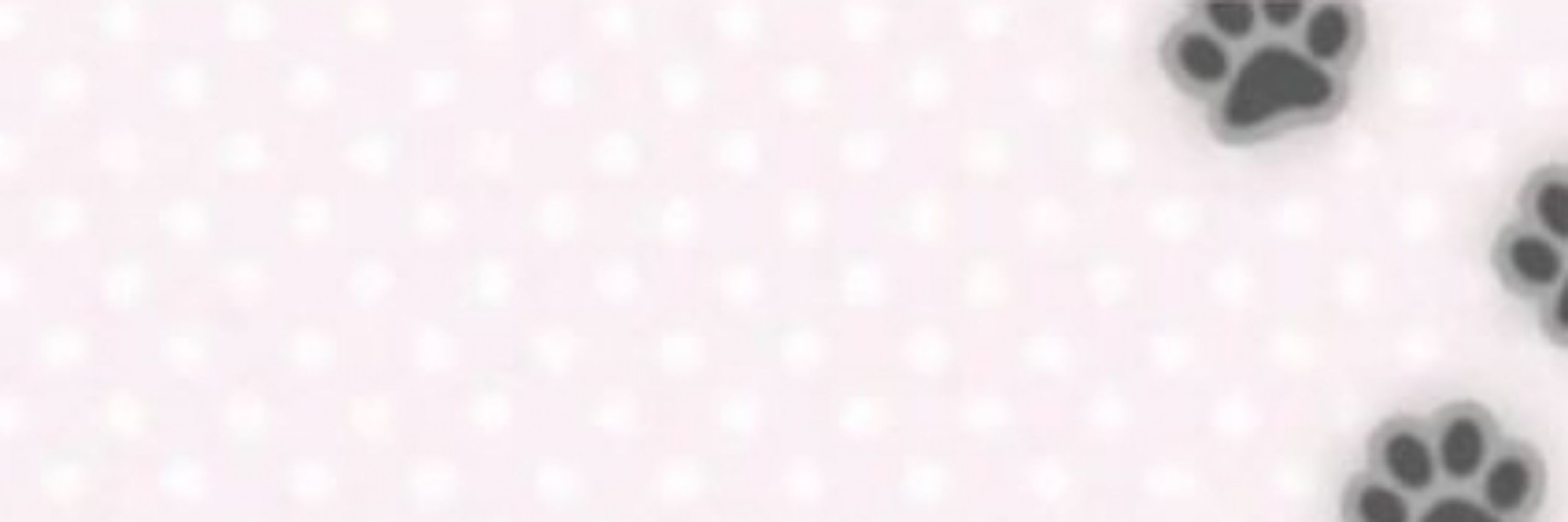 𓂃⠀⠀⠀char⠀⠀⠀⠀˚⠀⠀⠀⠀🎀      #1  MR.  PUZZLES  LUVR