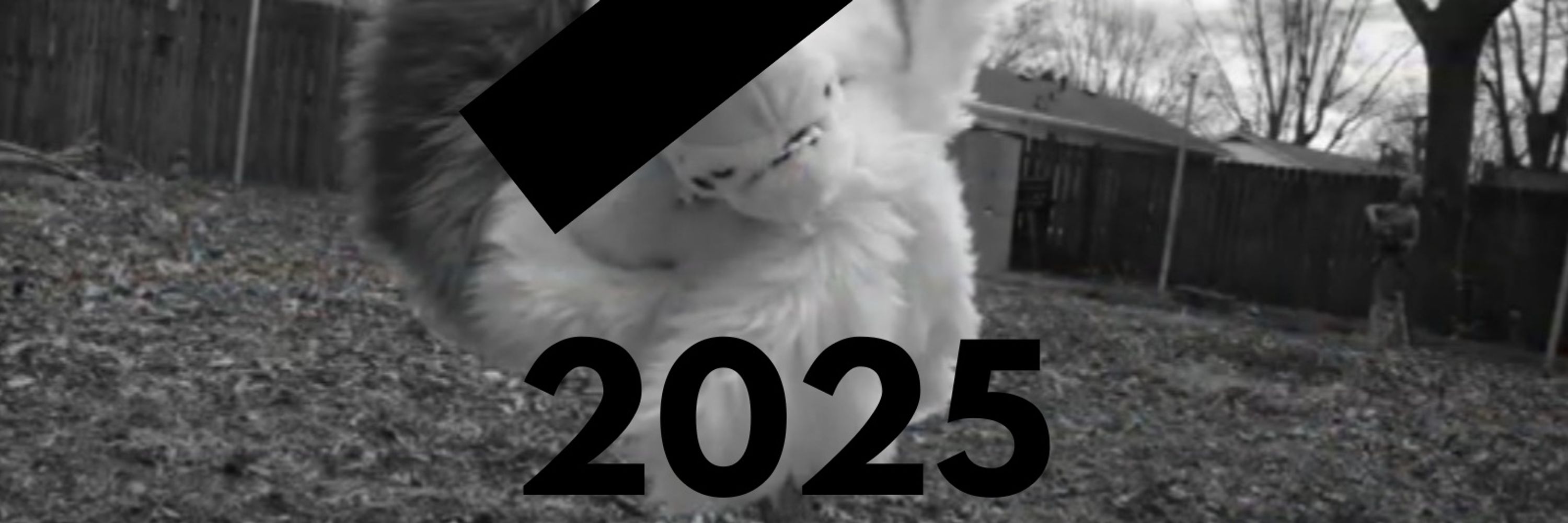 BlastBeatTheFolf🔜NotMFF