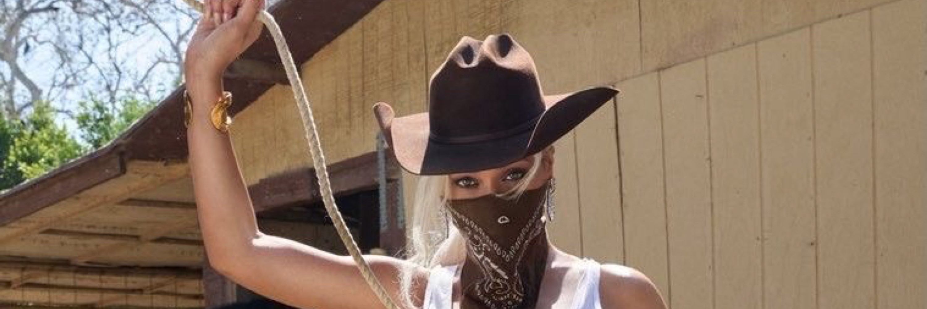 cariño 🐝