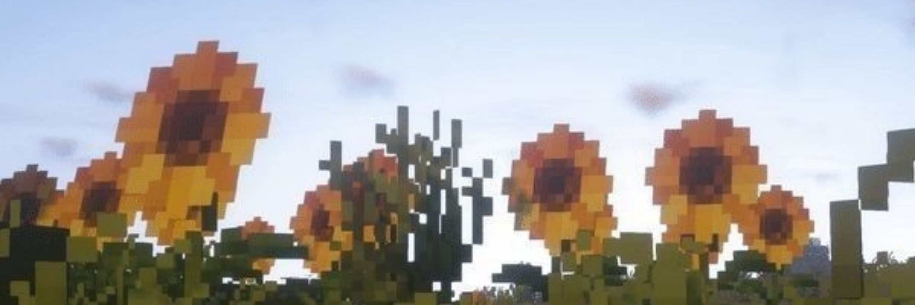 SUNBURST • ARTIST
