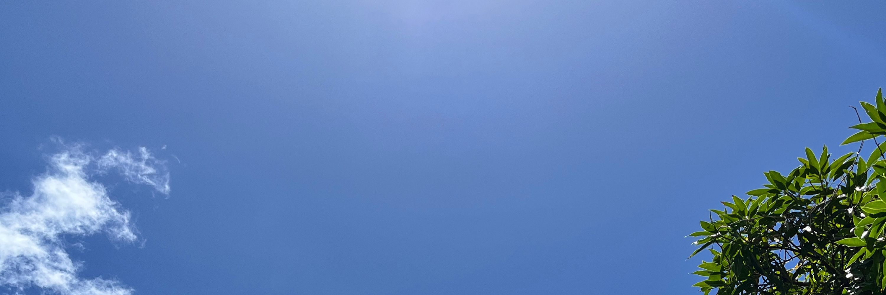 Luiz