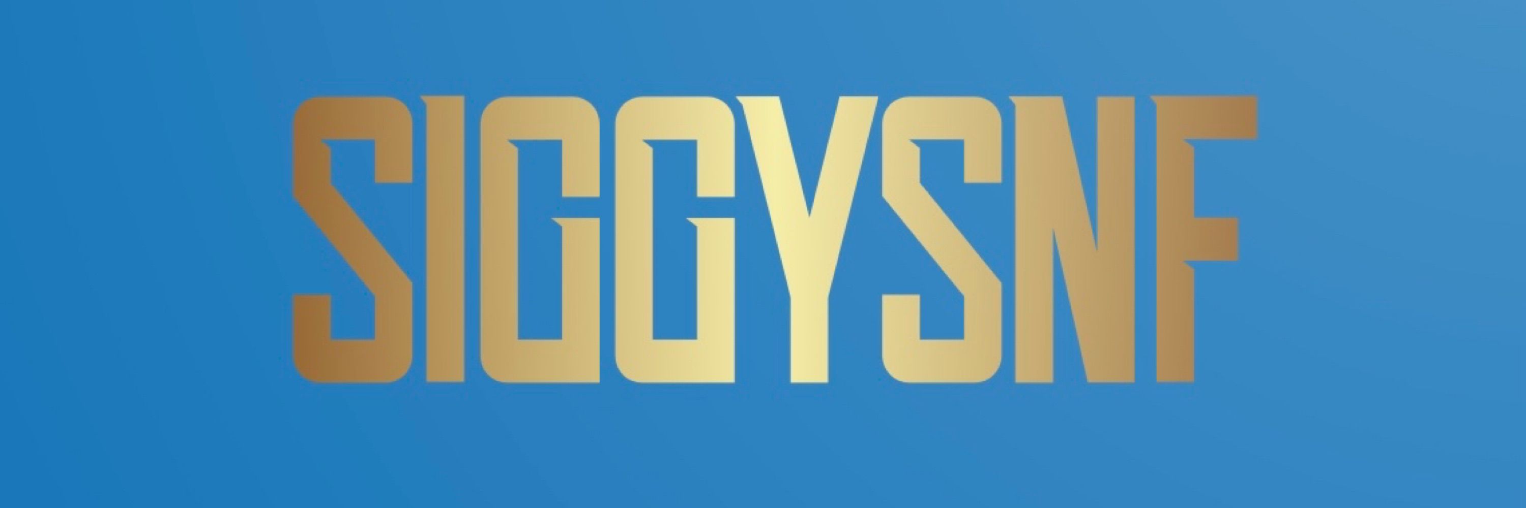 SiggySNF