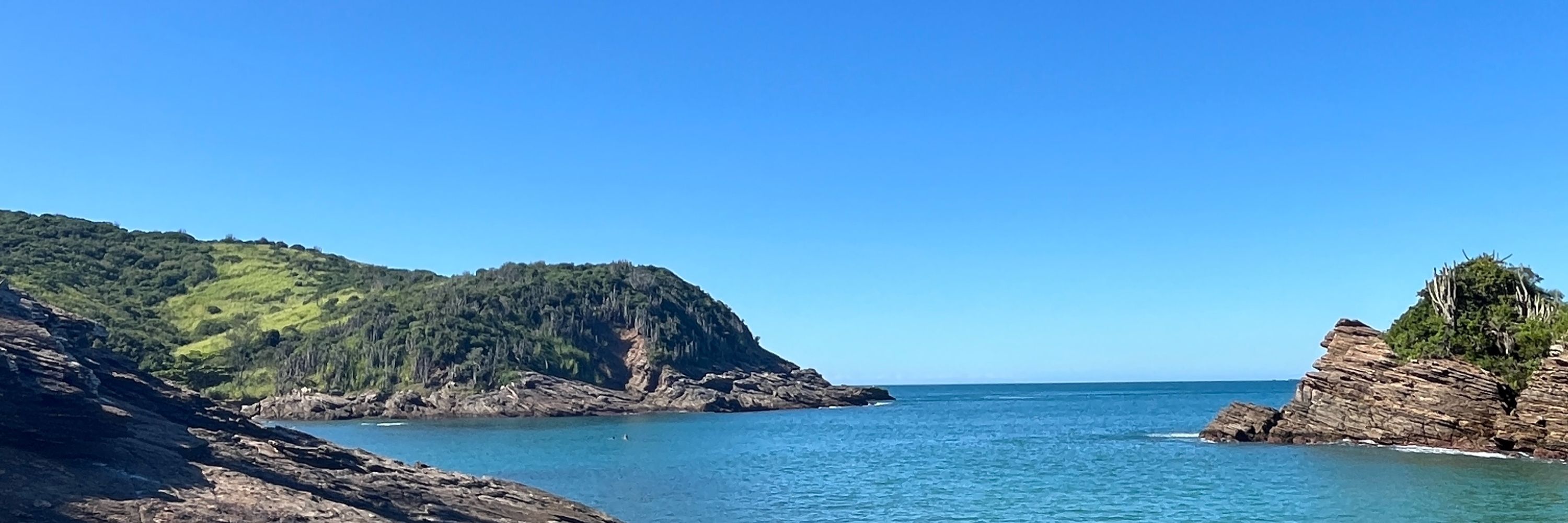 grazinha