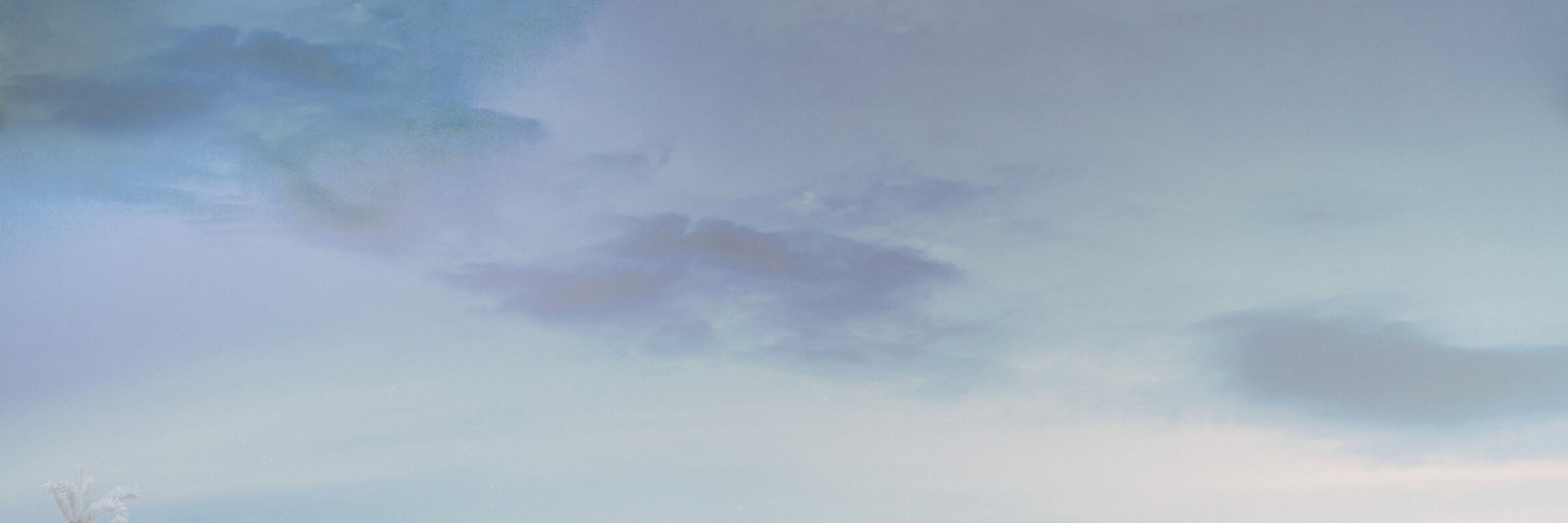 'ᴗ'