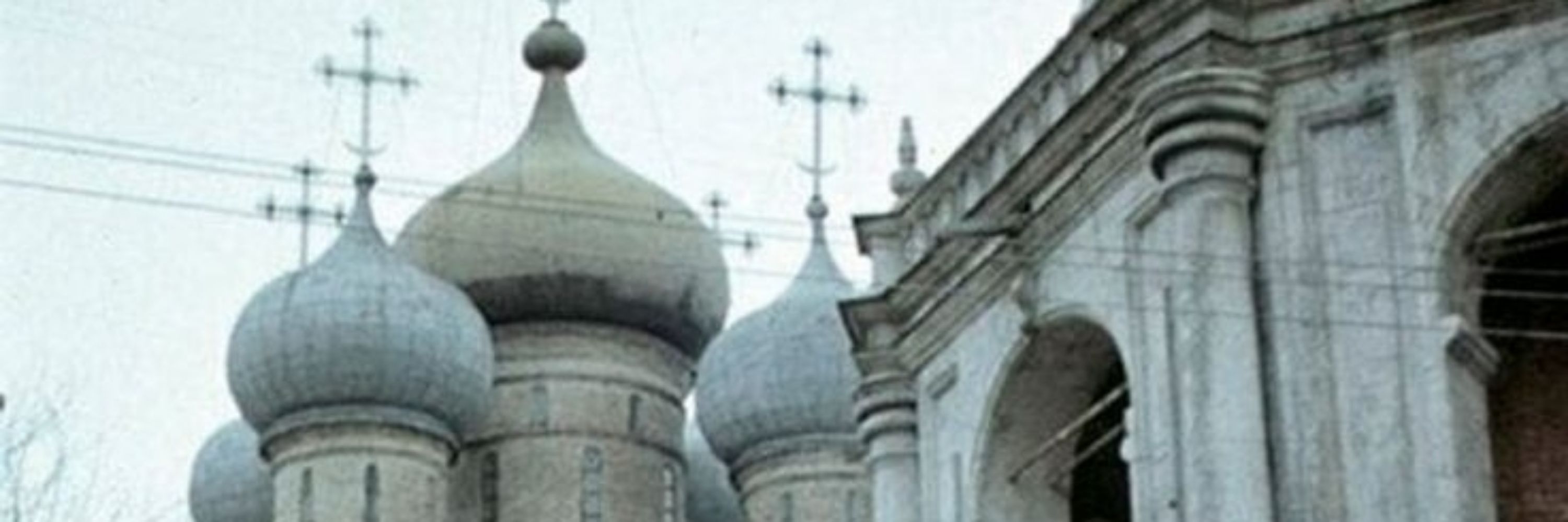 сосновый гробик. 