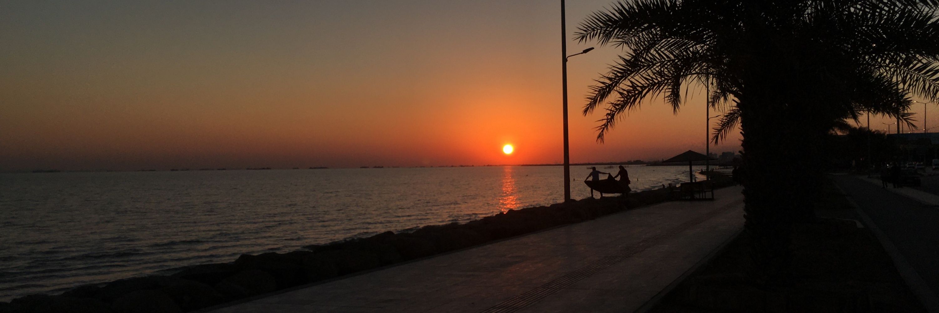 کرگدنِ شب تاب