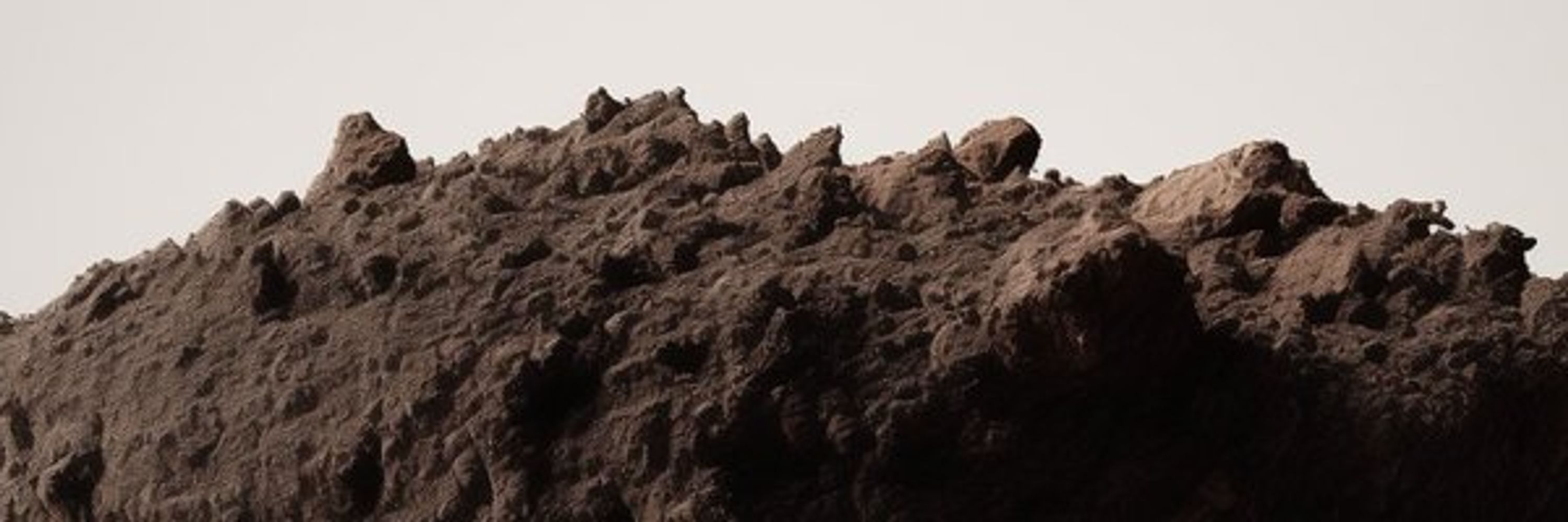 darksoil studio