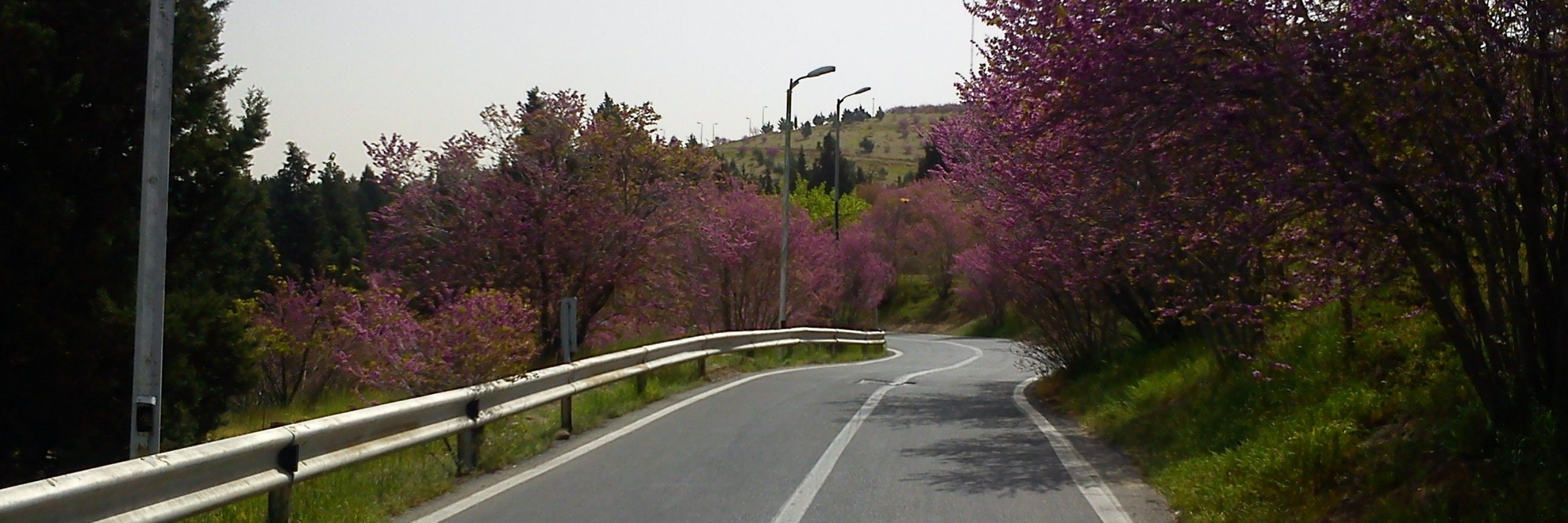 هزاردستان