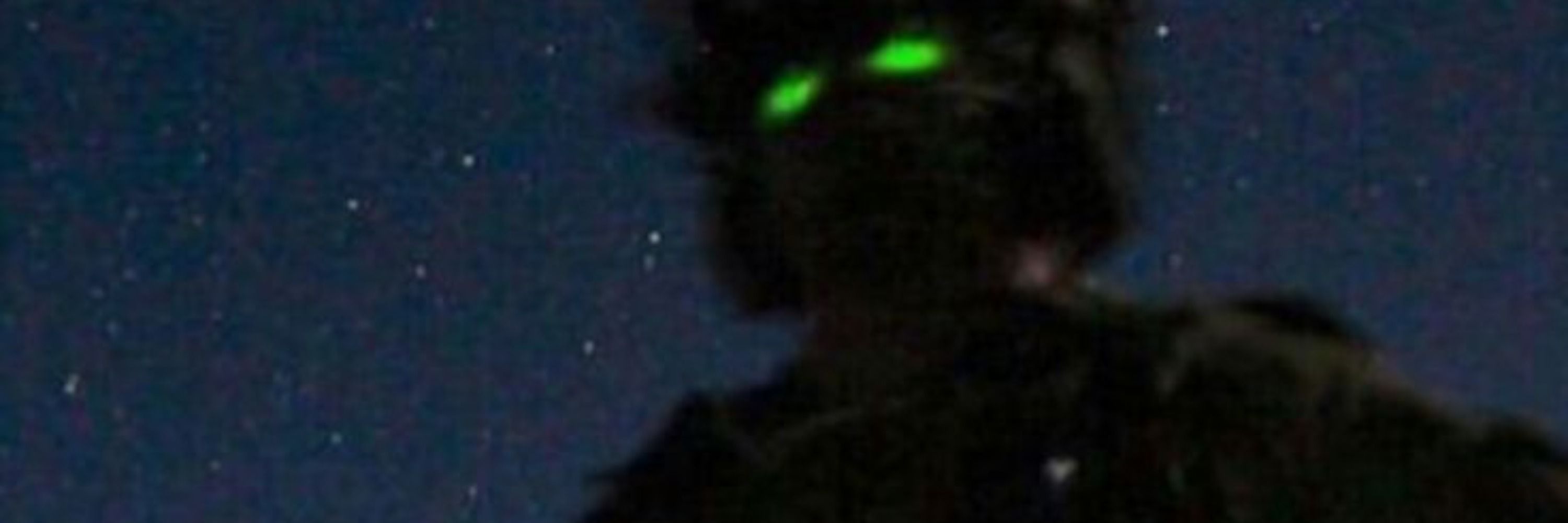 Trovl Guy