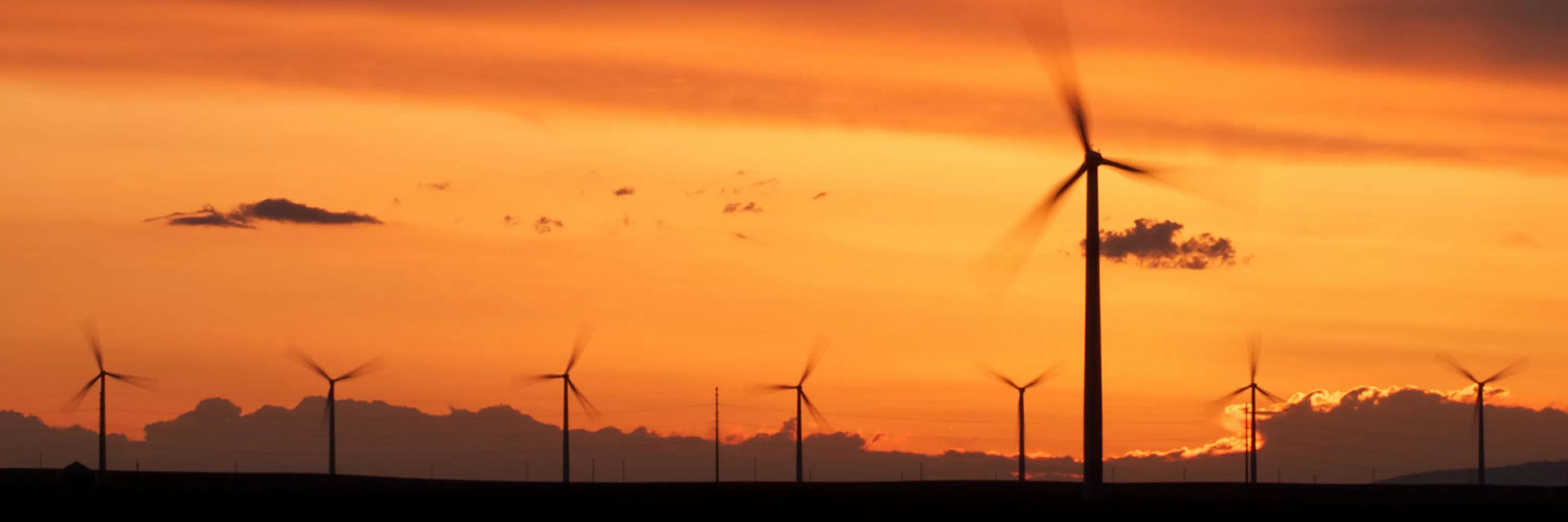 Global Wind Energy Council