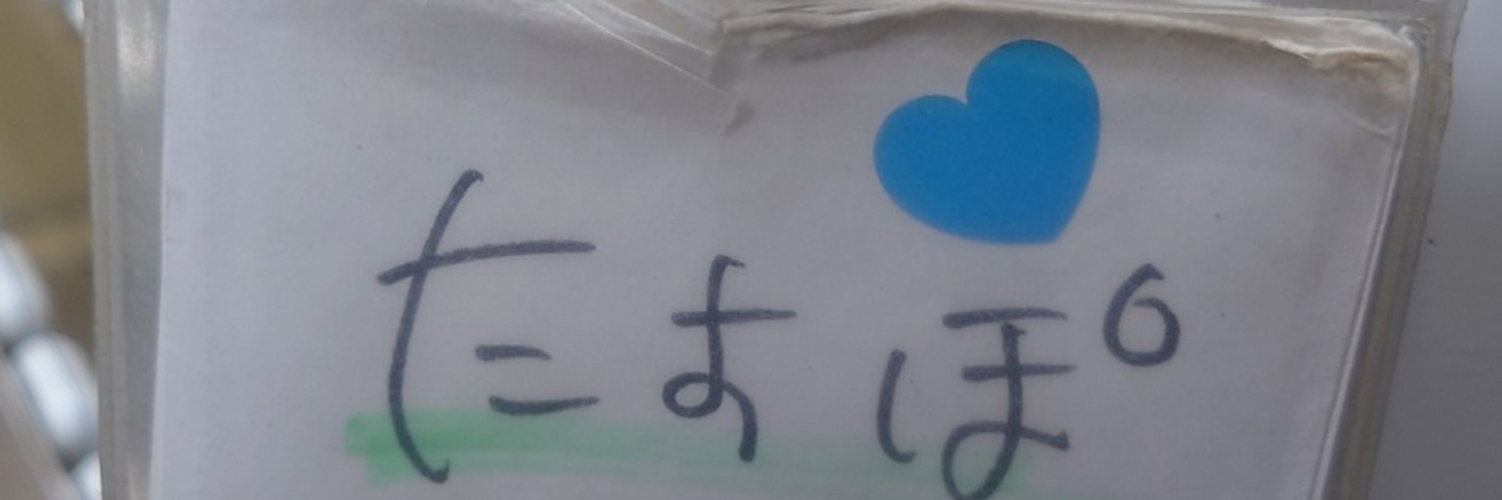たこす