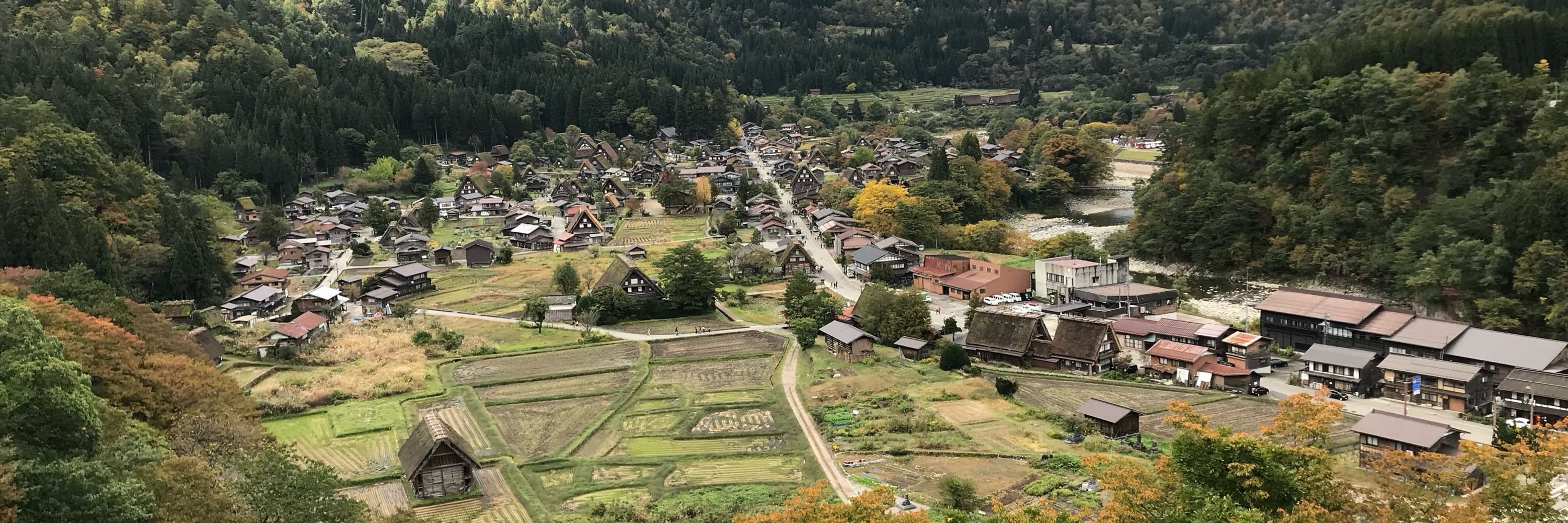むきこ
