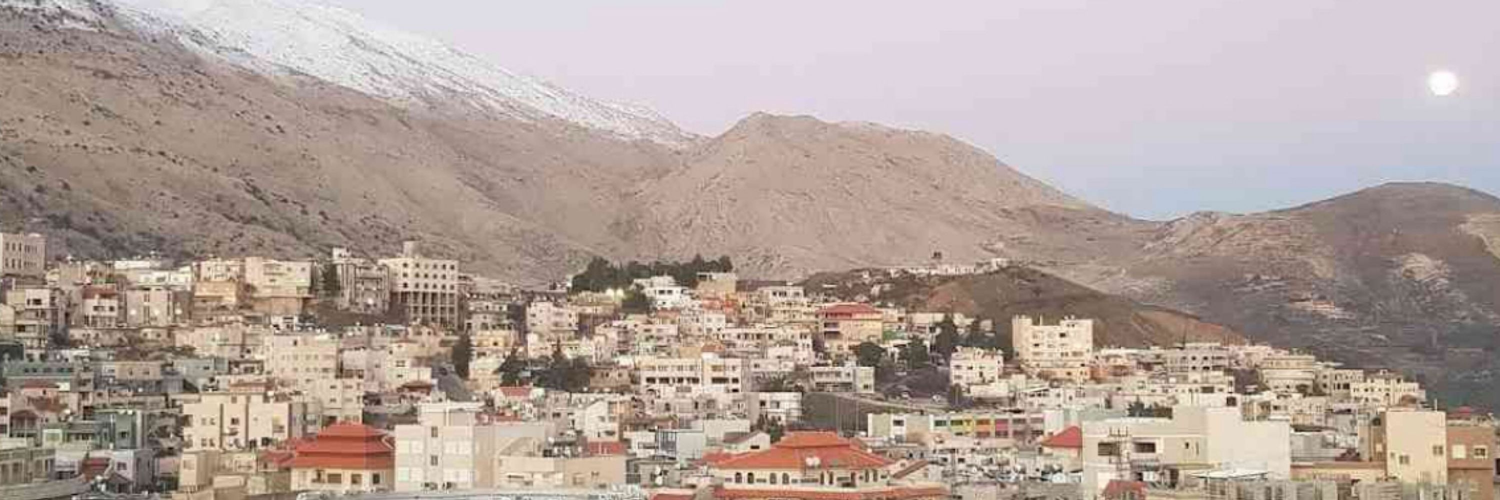 Malak | ملاك 🇵🇸🇸🇾