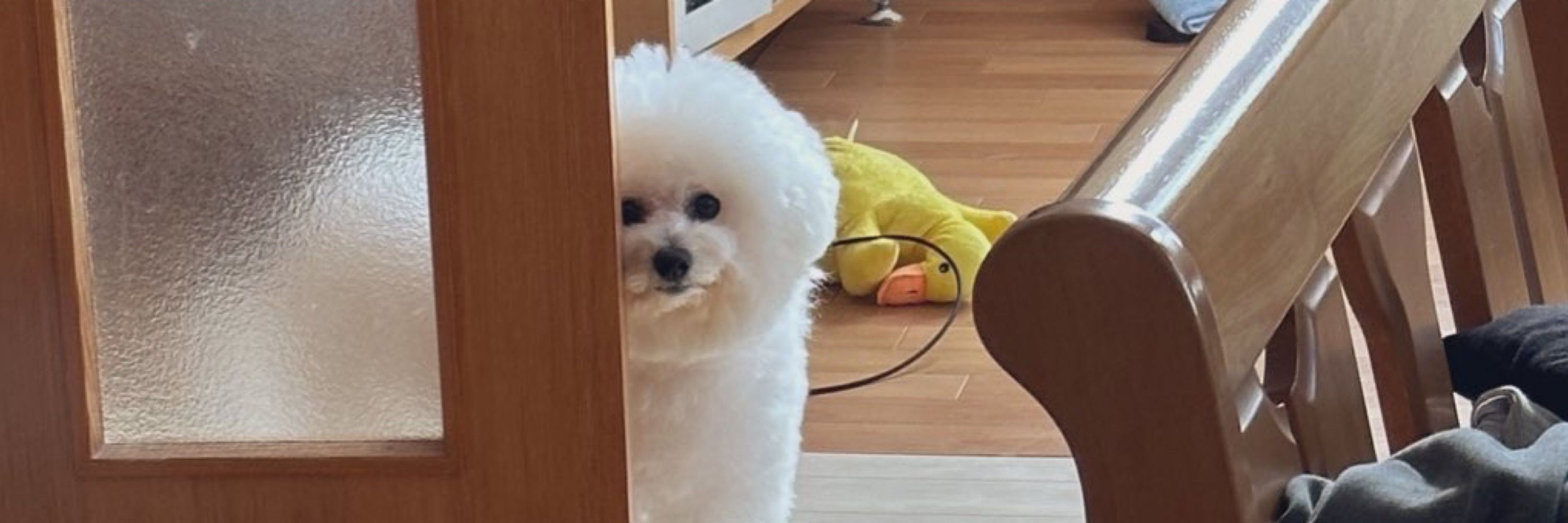 オピのね