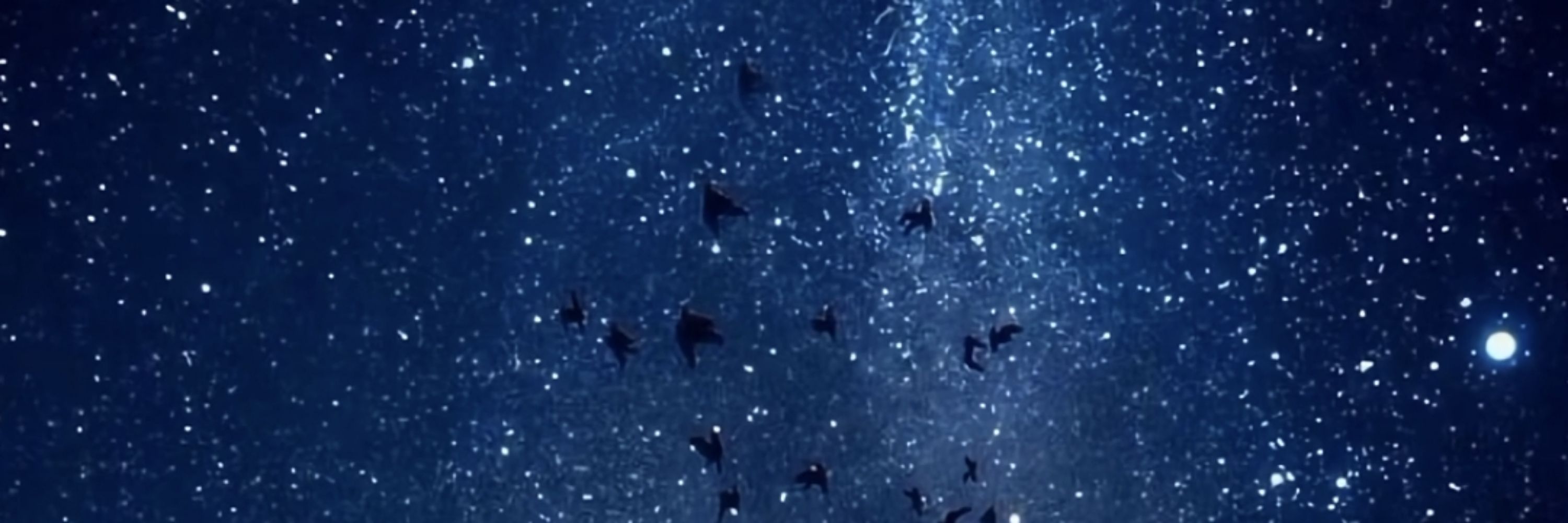 Maria 🌌