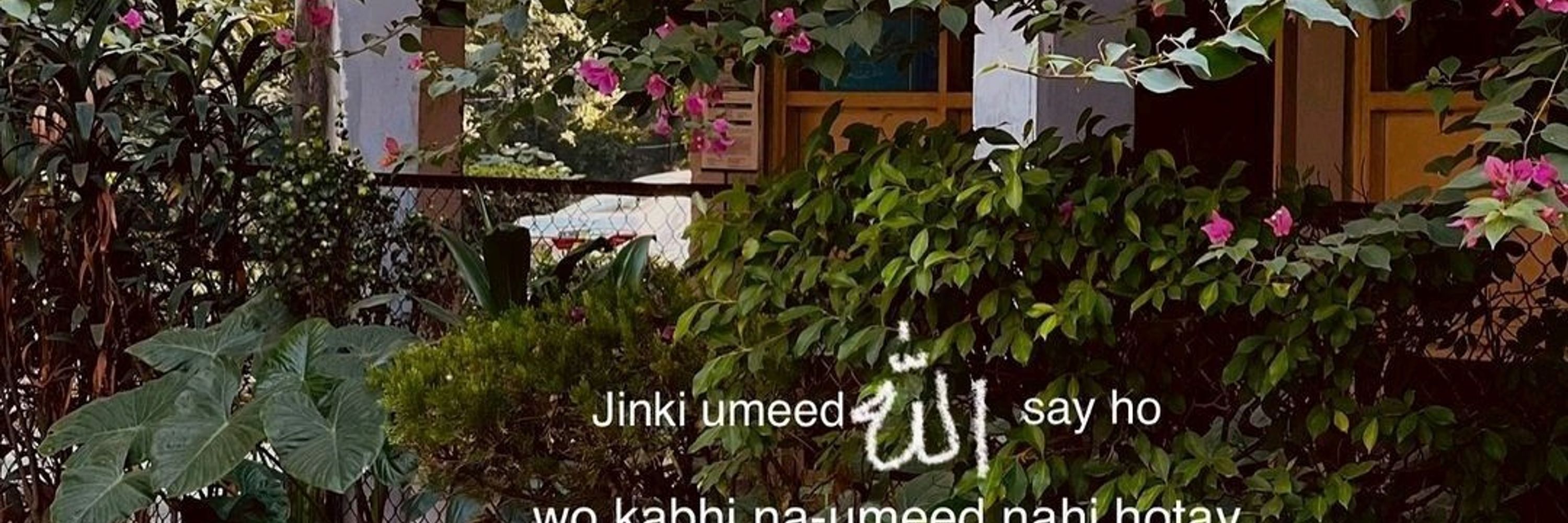 Moin Abbasi
