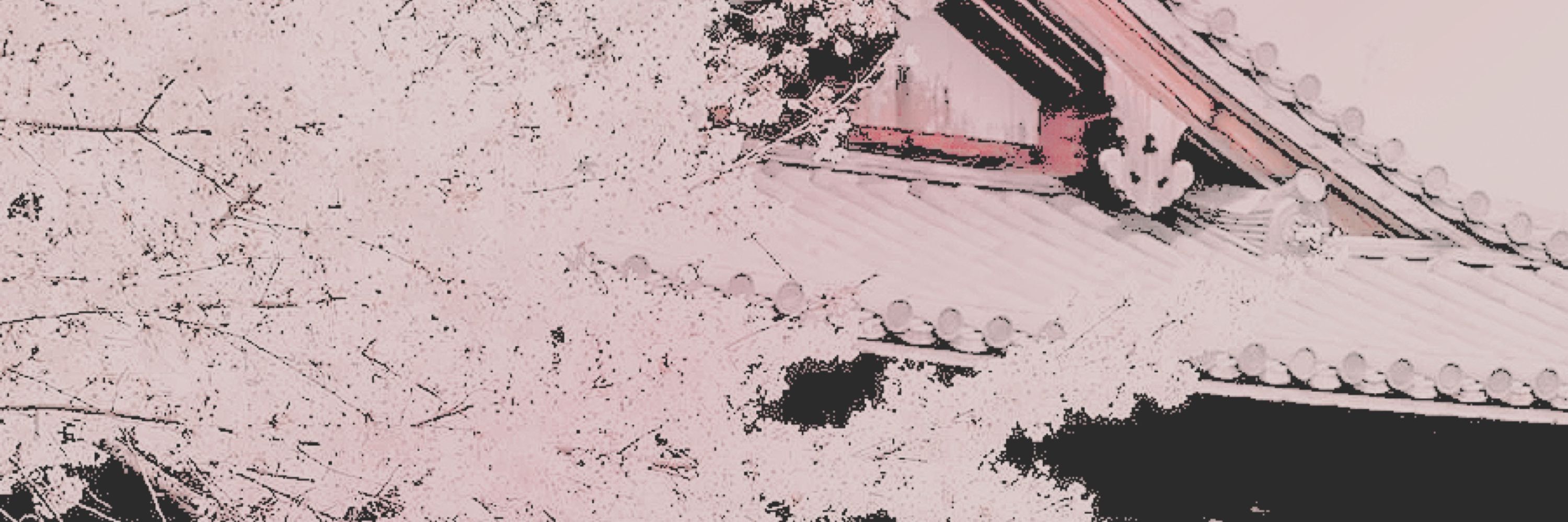 ⠀⠀⠀⚹𝖆𝐥𝐜𝐡𝐞𝐦𝐢𝐜 𝖈𝐡𝐞𝐟 .