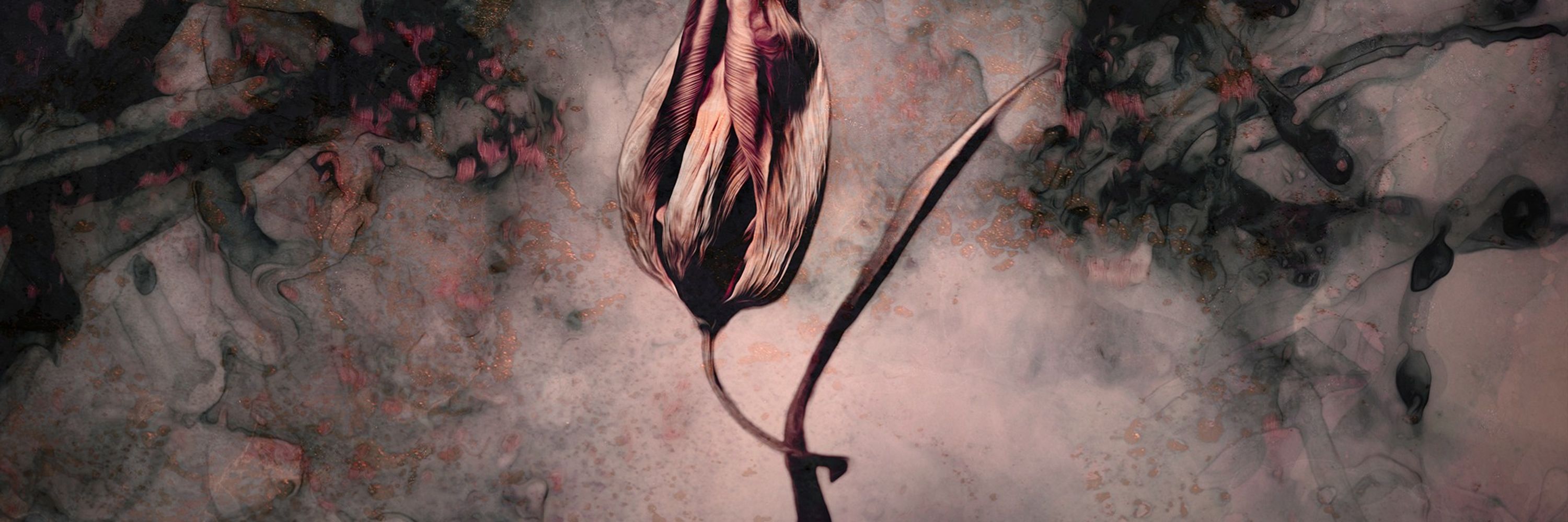 Gina Rayment