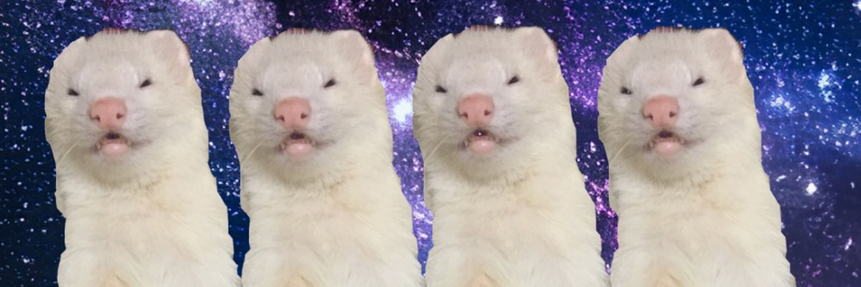 いたちもーどʕ•ᴥ•ʔ（株)