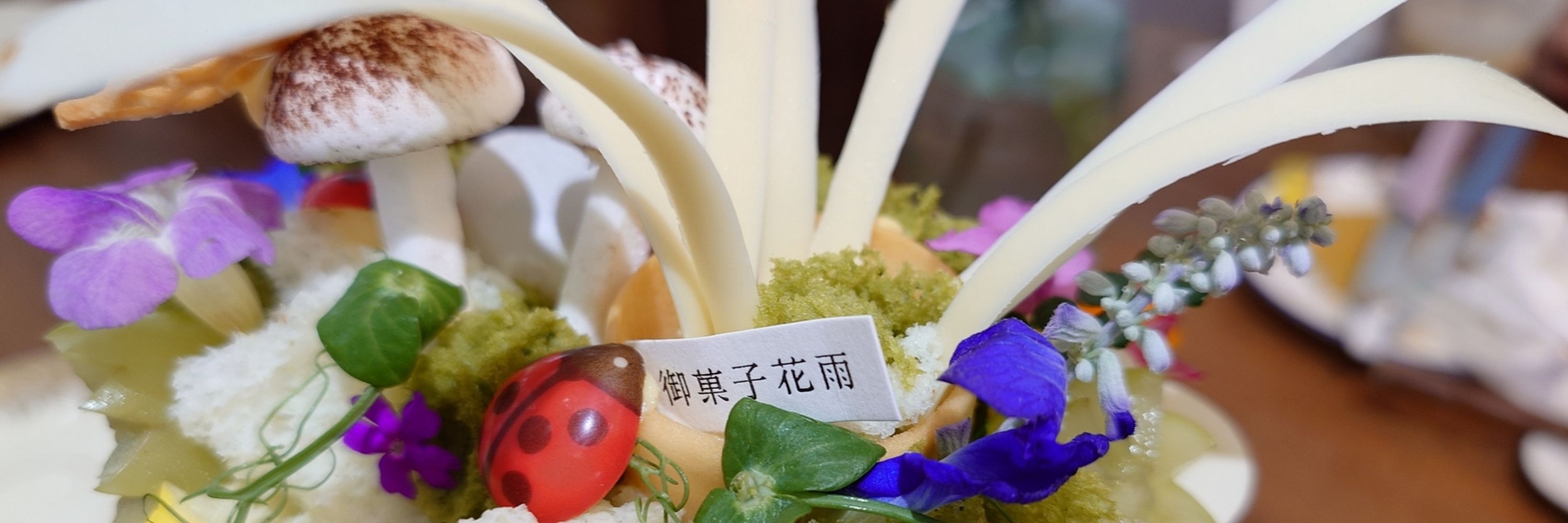 哈哈543