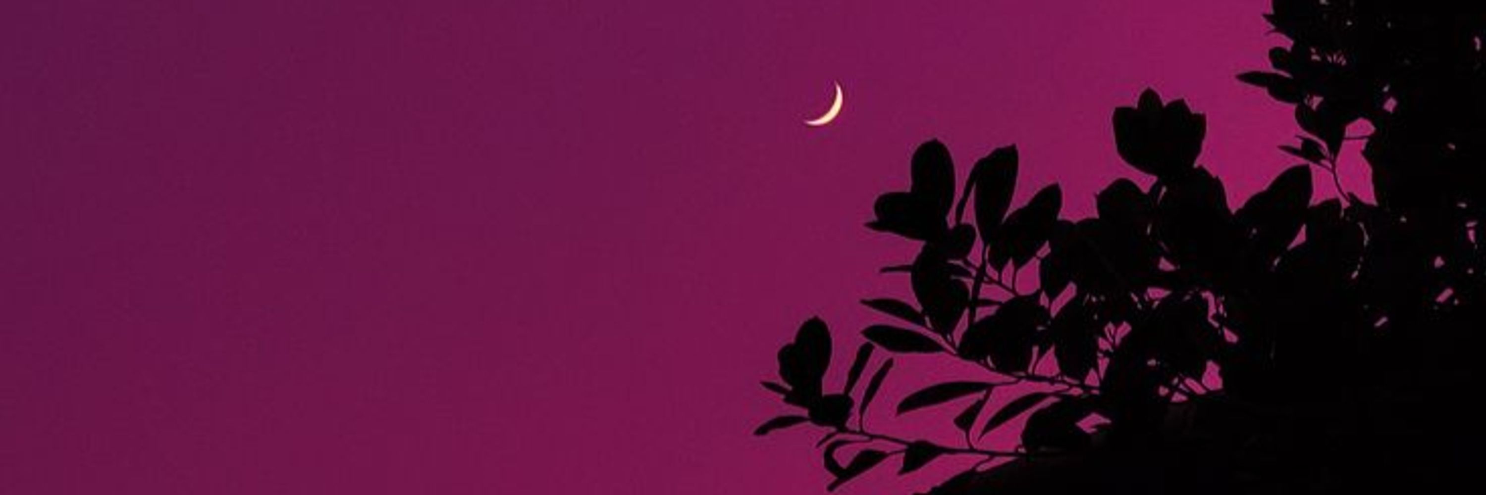seemy 💜🌺 🌈