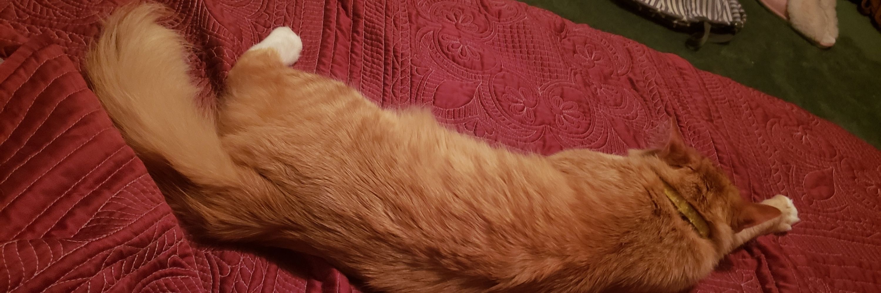 Fluffles