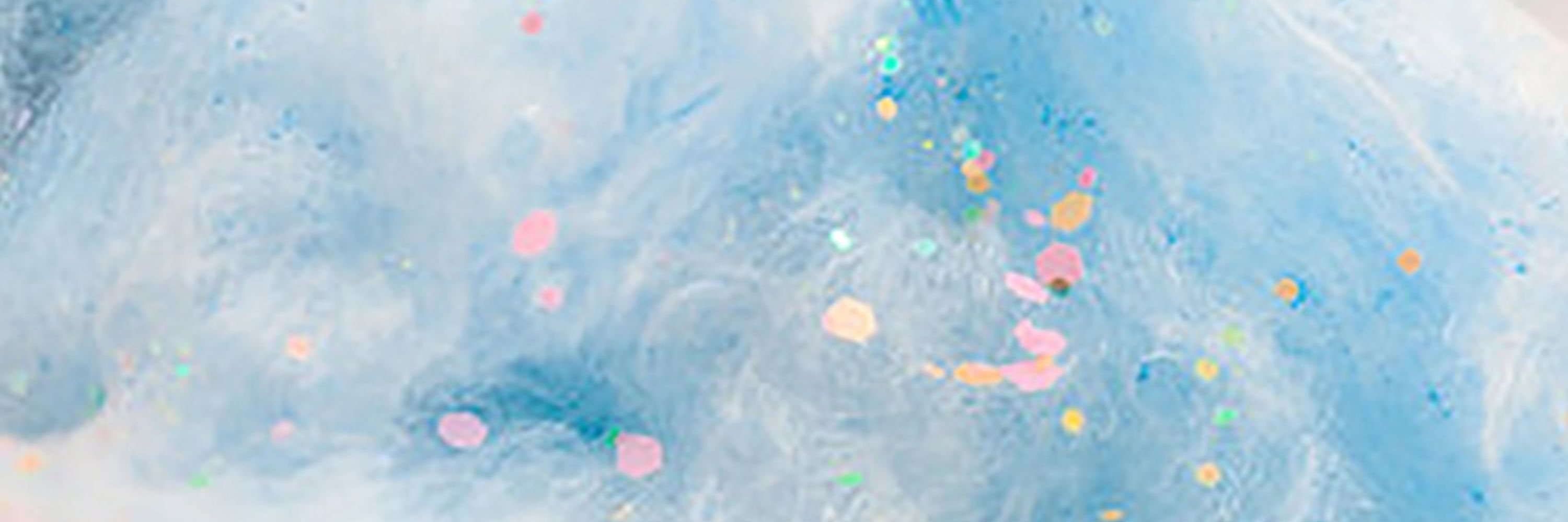✦• Raku •✦ ⋮ ⁺₊ ✦ Coms Closed ✦ ₊⁺