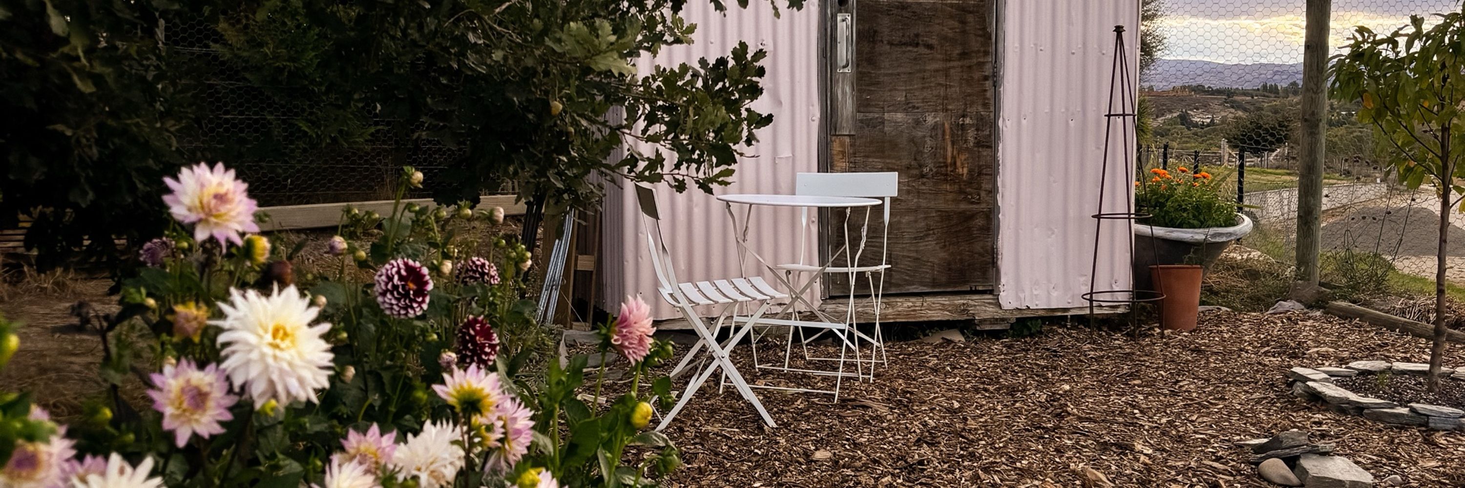 Poppy | Gardening | Cottage living