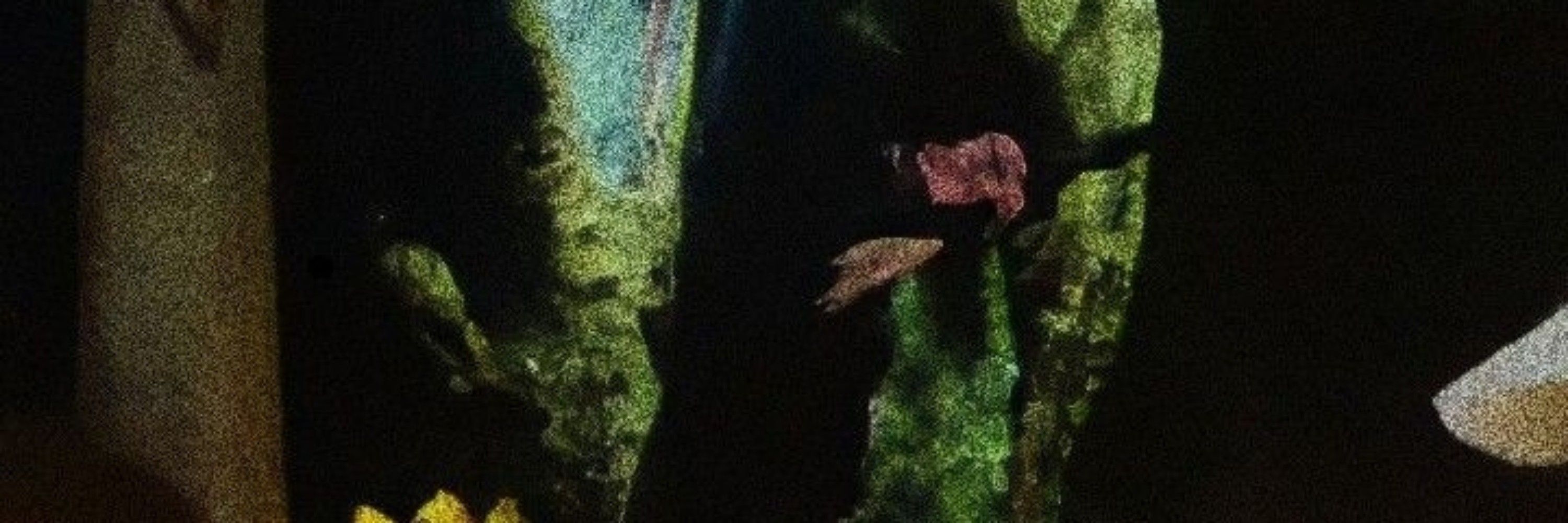 𝖆𝖌𝖊𝖓𝖙
