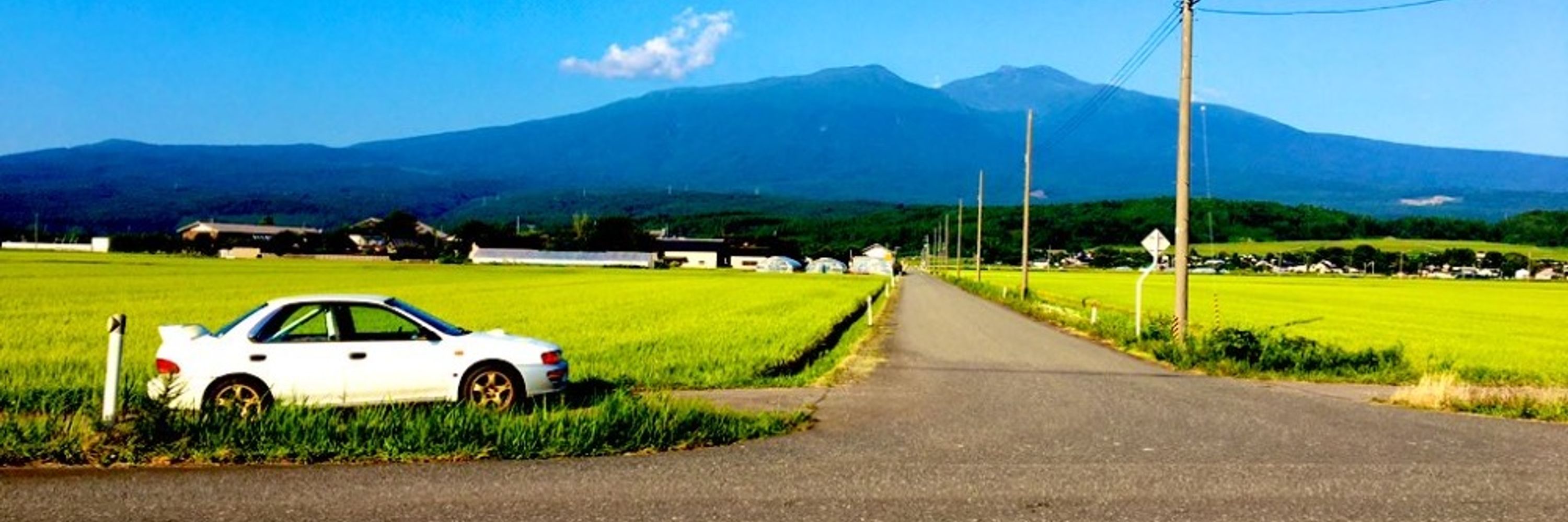 🌐あやきん