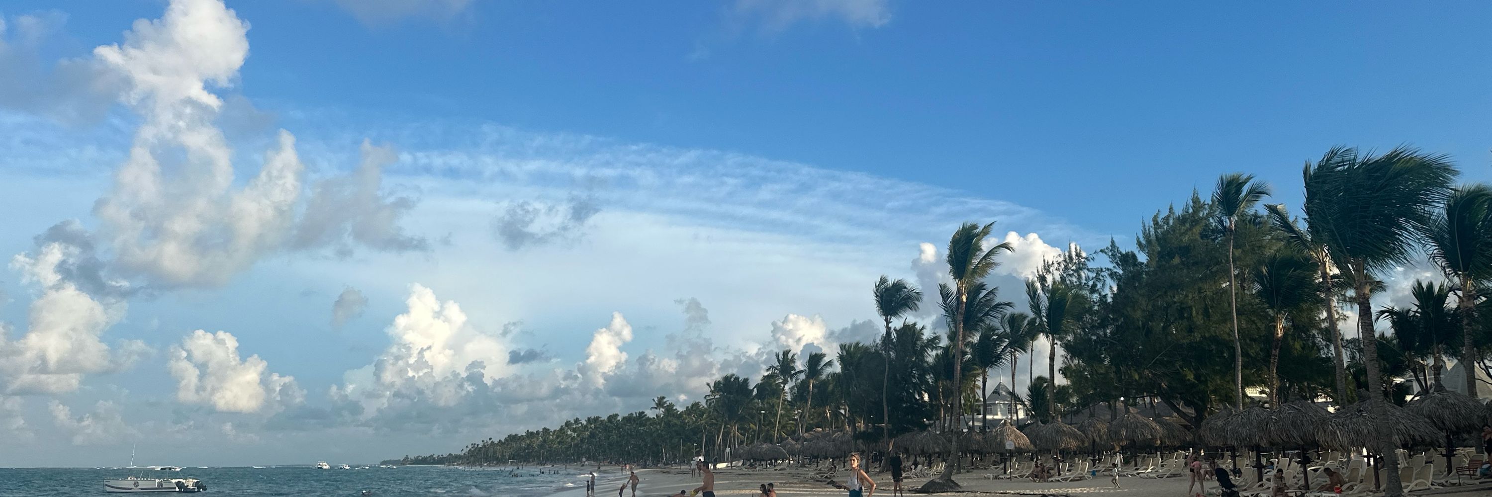 Nelci 👾🇩🇴