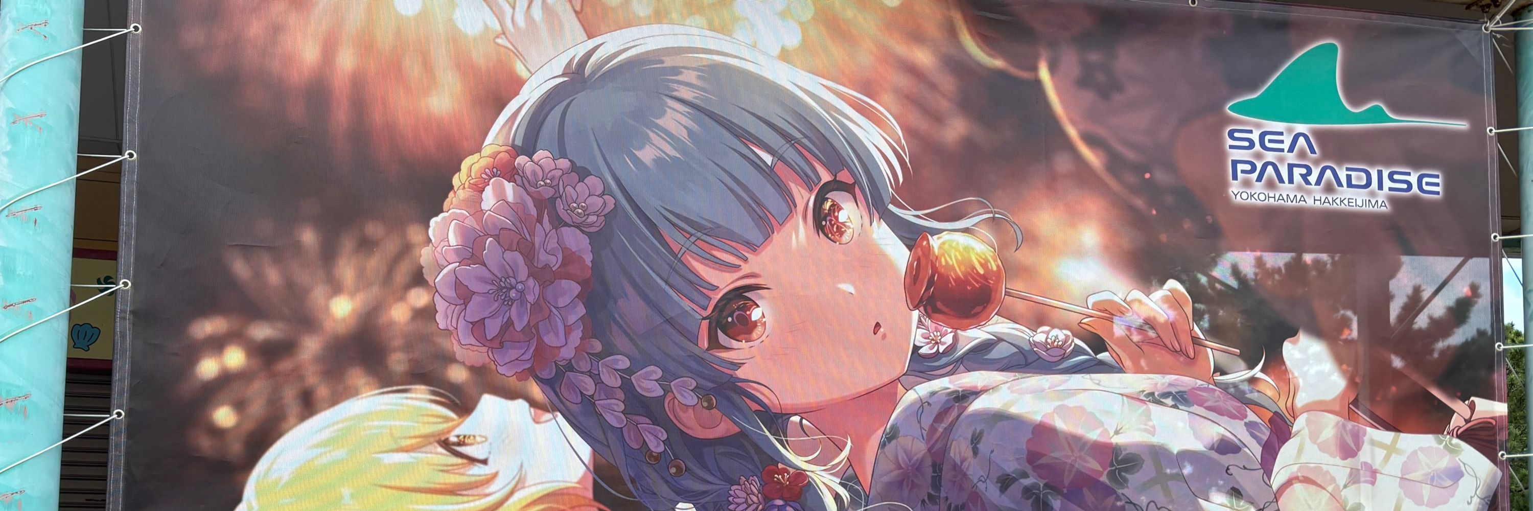 P²🍭