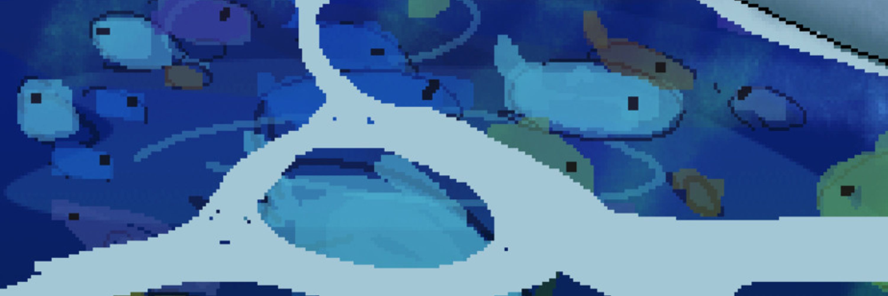 shark 🦈🌊