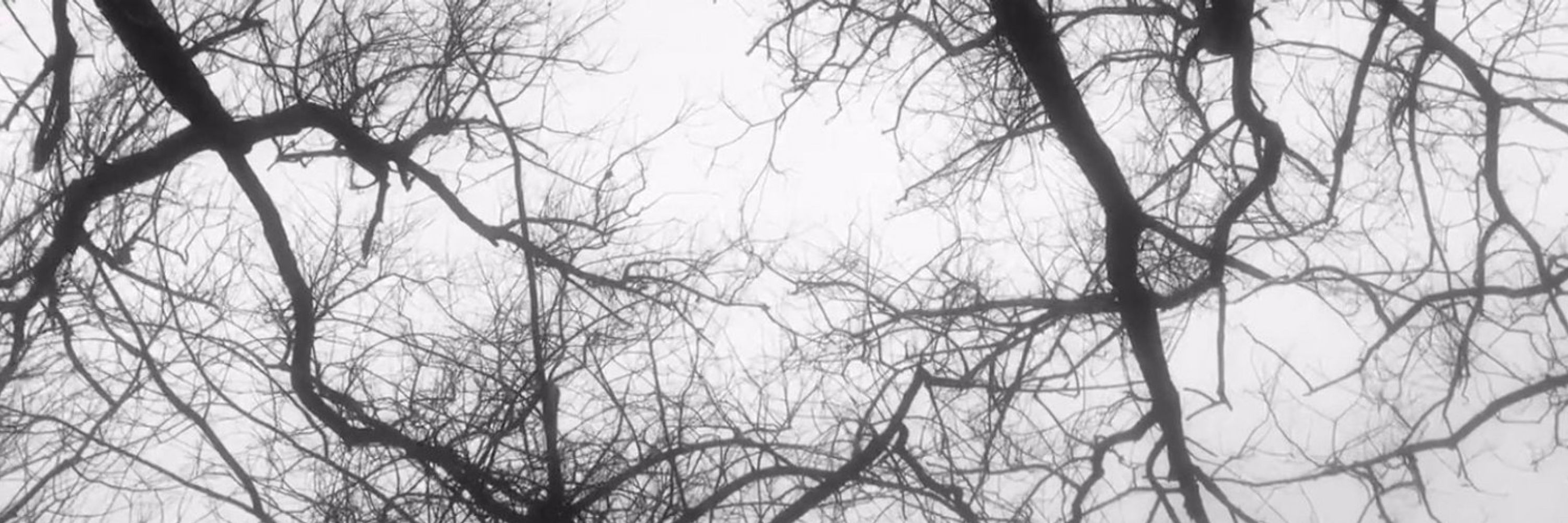 Wind