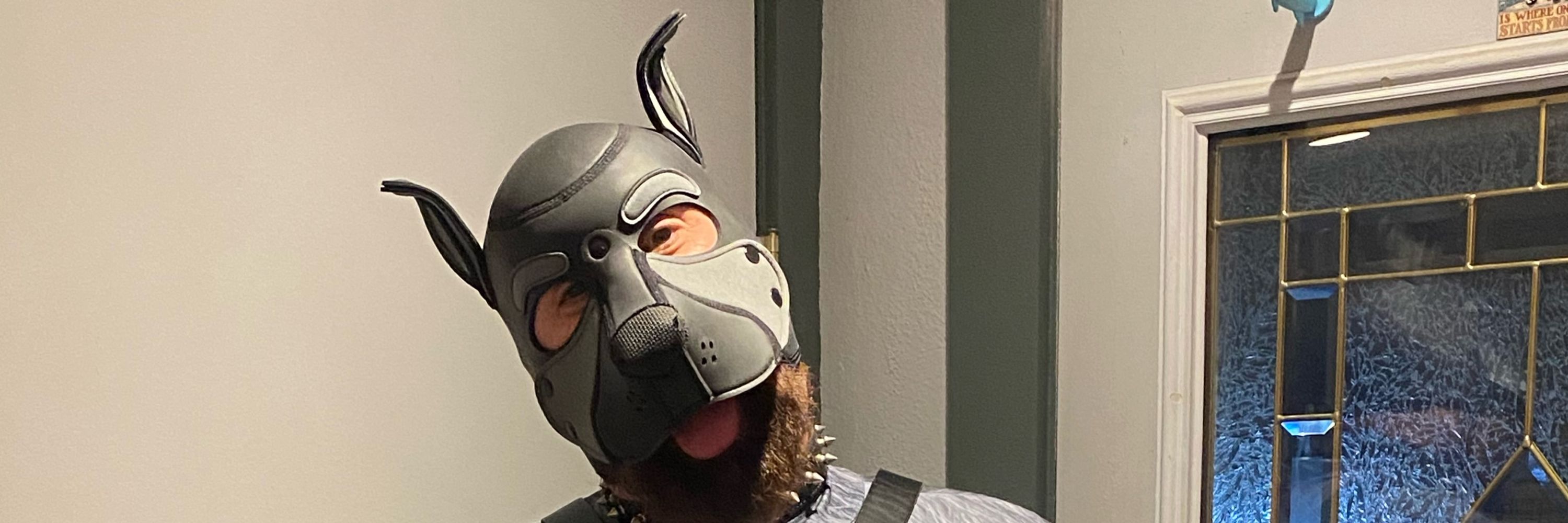 Rex Wolfpup