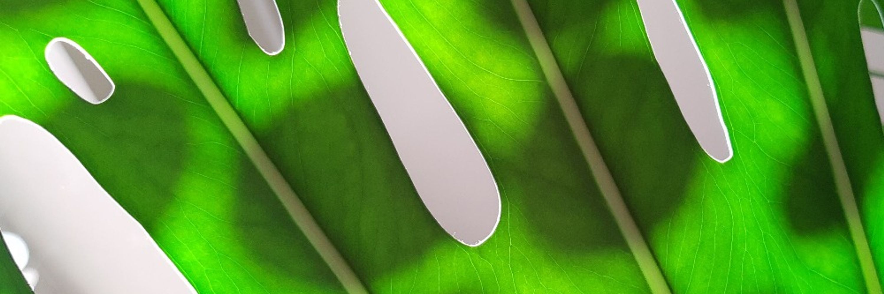 Lu