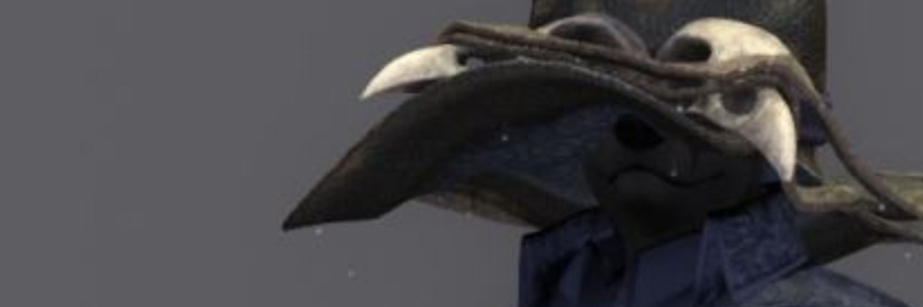 Marronvulpes 