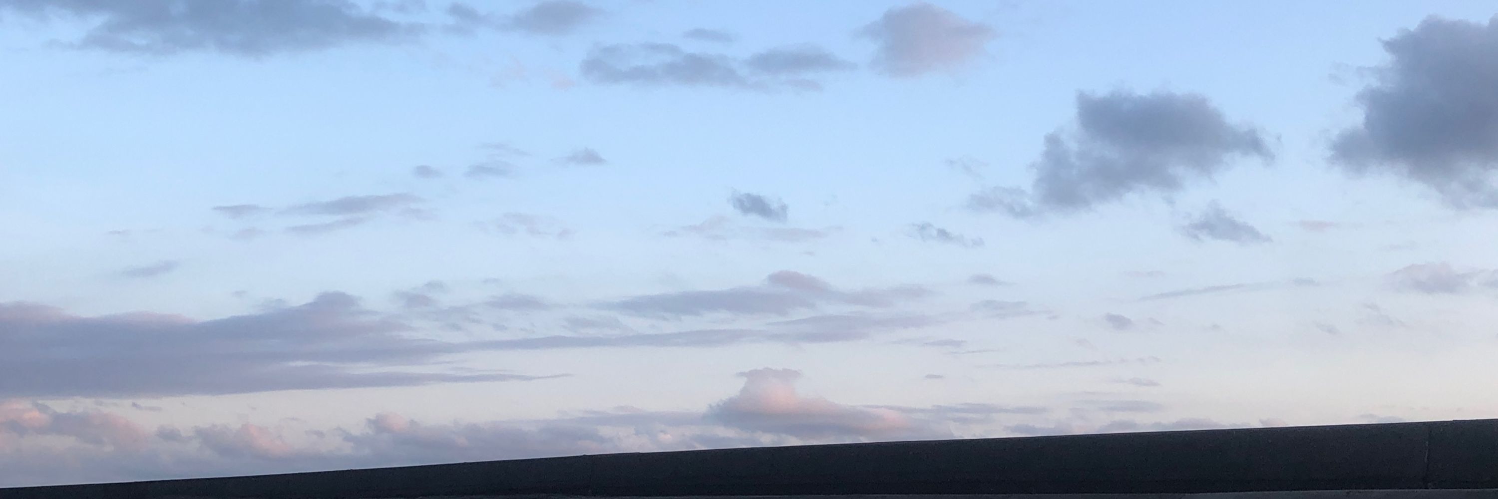 smallkirby