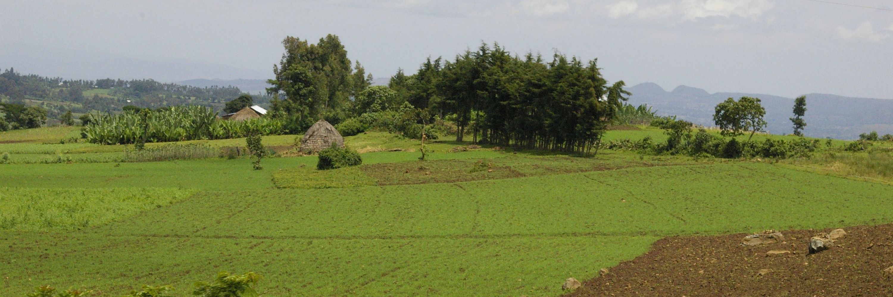 Climate and Development